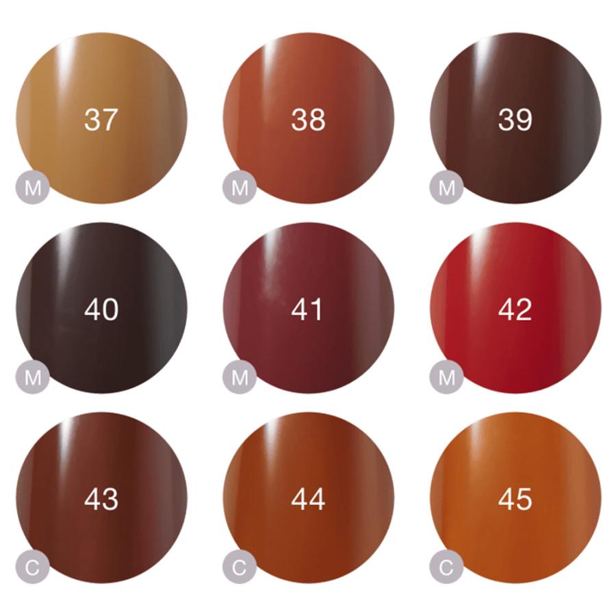 Raygel レイジェル カラージェル 全145色 シアー S （1） 4g（定形外 対応） |  | 21