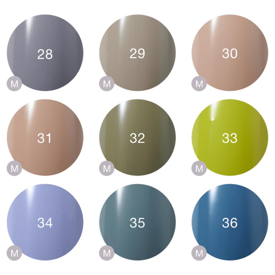 Raygel レイジェル カラージェル 全145色 マット M （1） 4g（定形外 対応） |  | 30