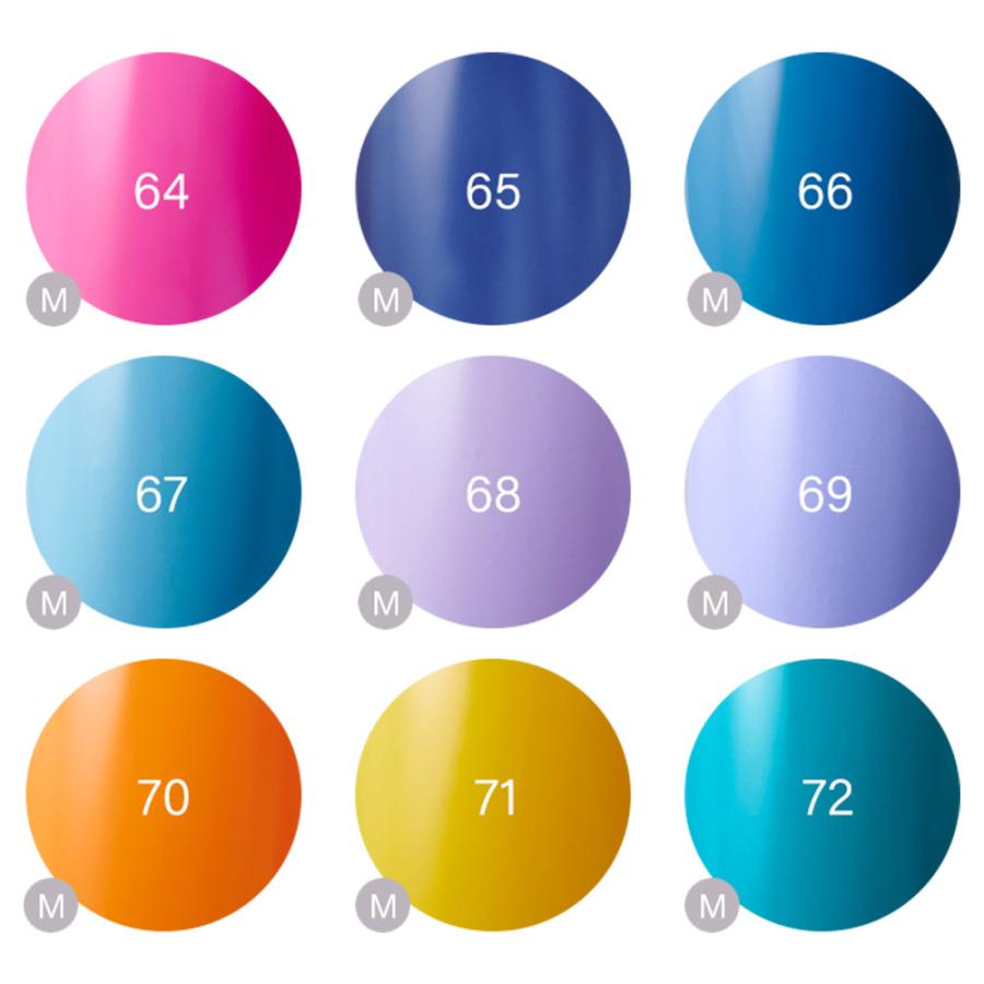 Raygel レイジェル カラージェル 全145色 マット M （1） 4g（定形外 対応） |  | 34