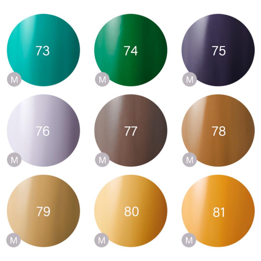 Raygel レイジェル カラージェル 全145色 マット M （1） 4g（定形外 対応） |  | 35