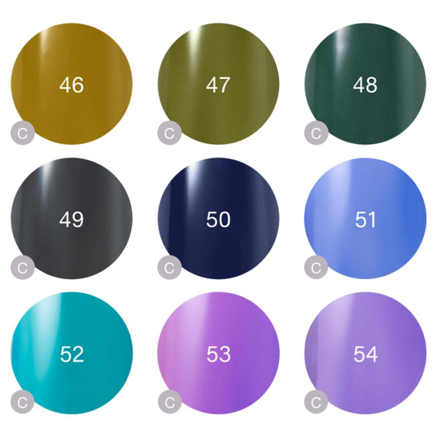 Raygel レイジェル カラージェル 全145色 クリア C 4g（定形外 対応