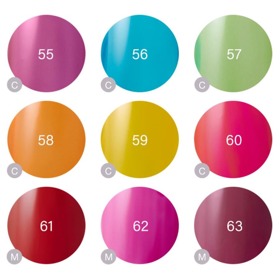 Raygel レイジェル カラージェル 全145色 クリア C 4g（定形外 対応