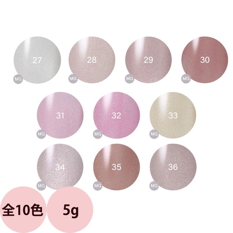 レイジェル マグネット カラージェル （全10色） 5g ジェルネイル