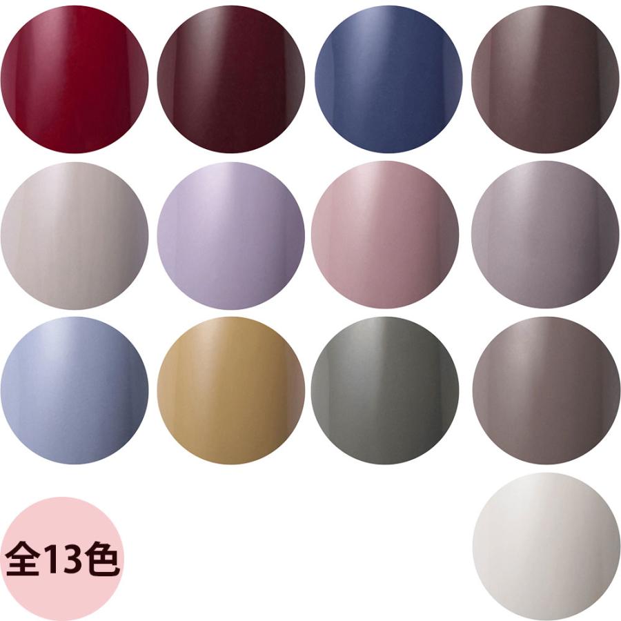 Raygel レイジェル カラージェル ヴィンテージカラー（全13色） / 4g （定形外 対応） | ブランド登録なし