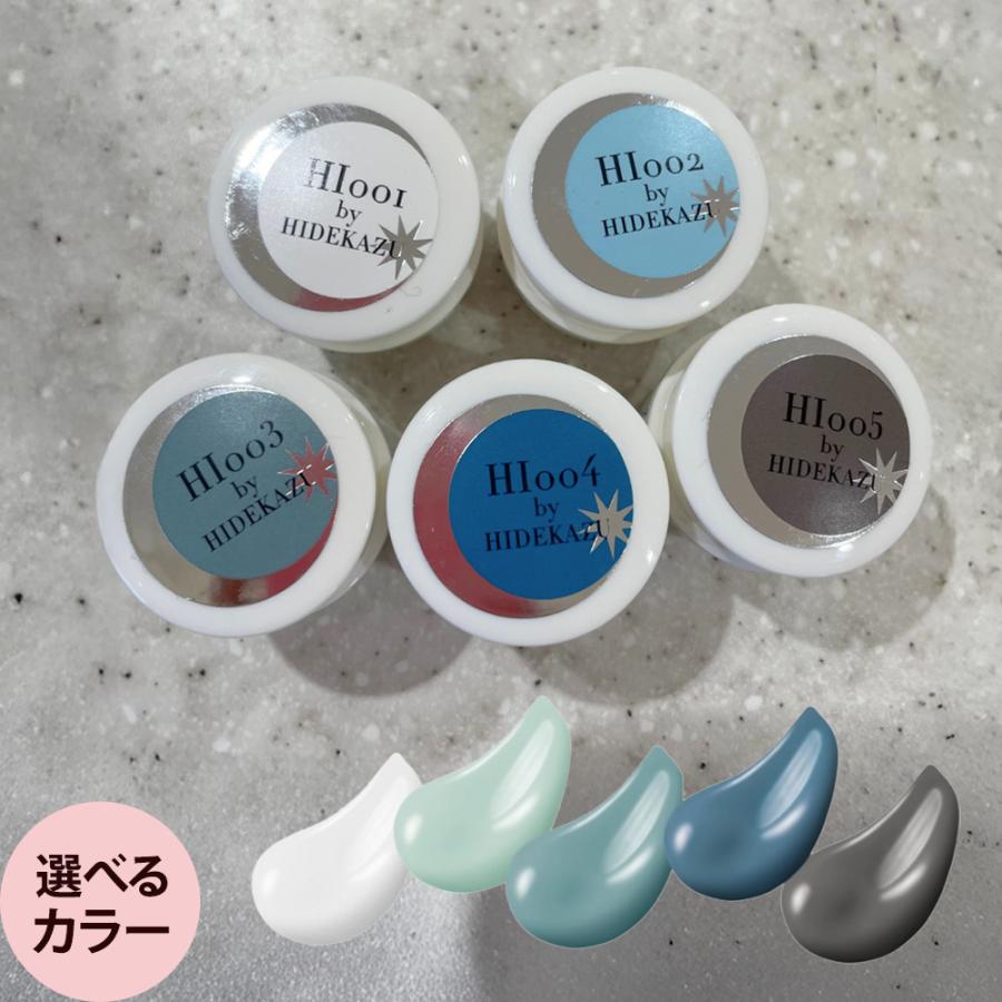 レイジェル カラージェル ディレクターシリーズ 全5色 HIDEKAZU 4g ジェルネイル  爪 プロ用 LED UV ネイルサロン ネイリスト 定形外 対応 Raygel | 