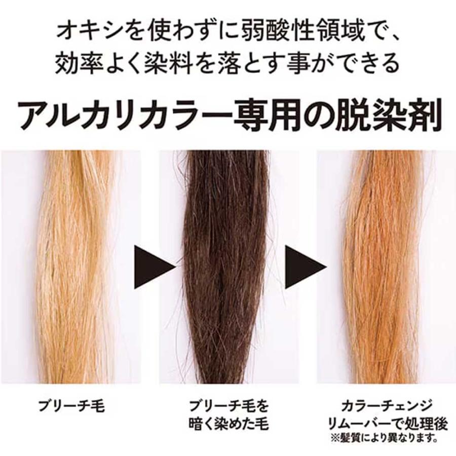 リビック リックス カラーメントキュア カラーチェンジリムーバー 第1剤 第2剤セット / 200g | ブランド登録なし | 01