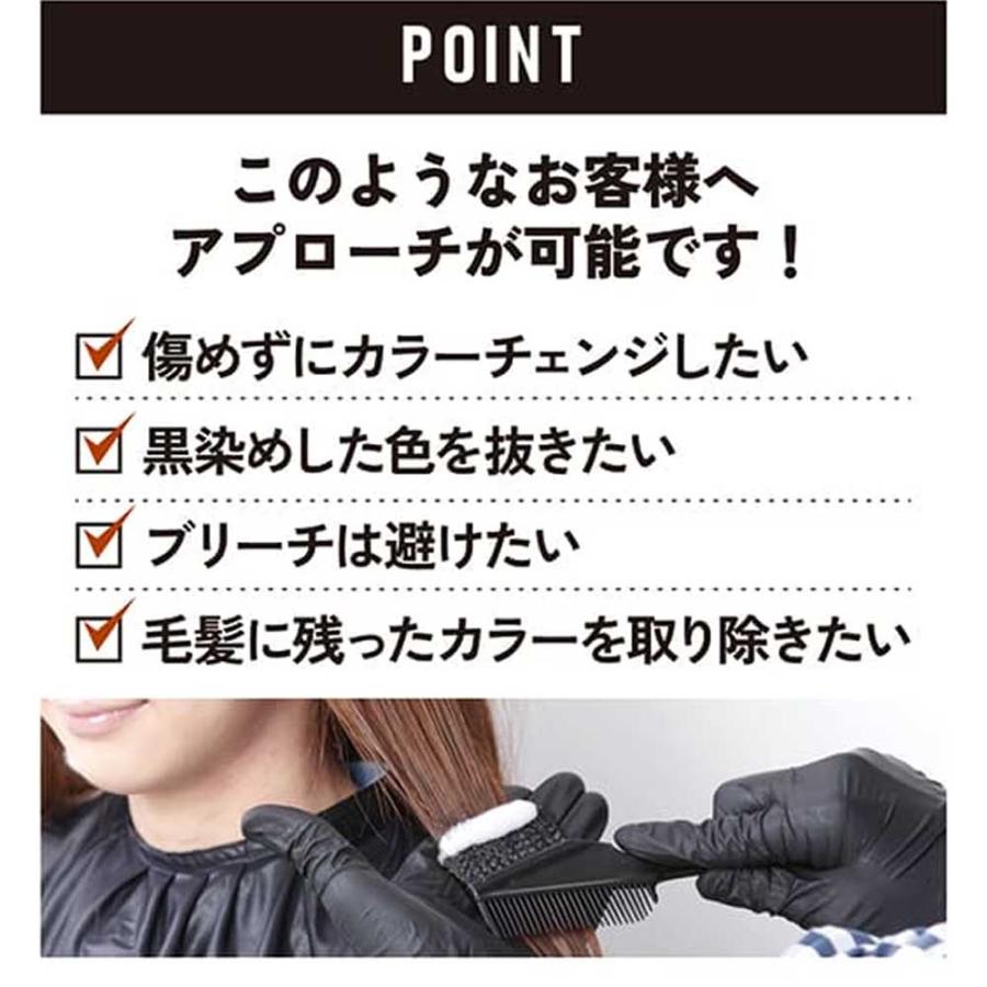 リビック リックス カラーメントキュア カラーチェンジリムーバー 第1剤 第2剤セット / 200g | ブランド登録なし | 03