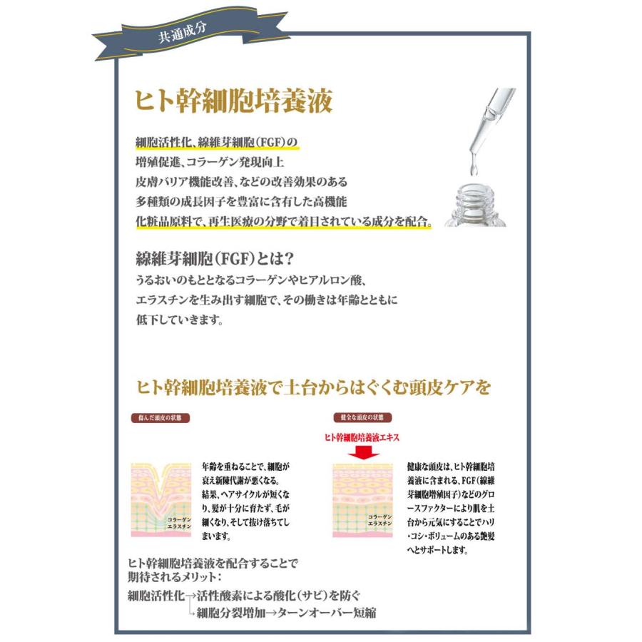 リックス マリンローズ シャンプー＆トリートメント セット / 300ｍL+300mL | ブランド登録なし | 10