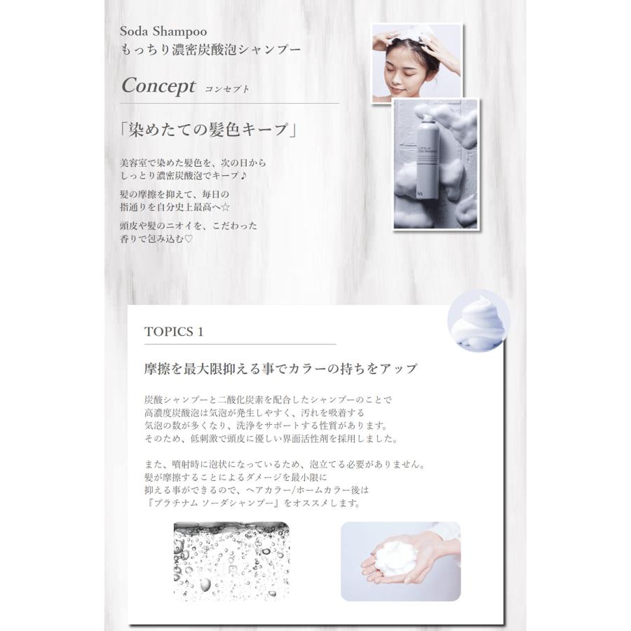 炭酸泡 シャンプー リックス プラチナム ソーダシャンプー 200g 髪色キープ アミノ酸系 シャンプー 泡で出る ヘアカラー 後 サロン 美容院 美容師 送料無料 RicS | ブランド登録なし | 02