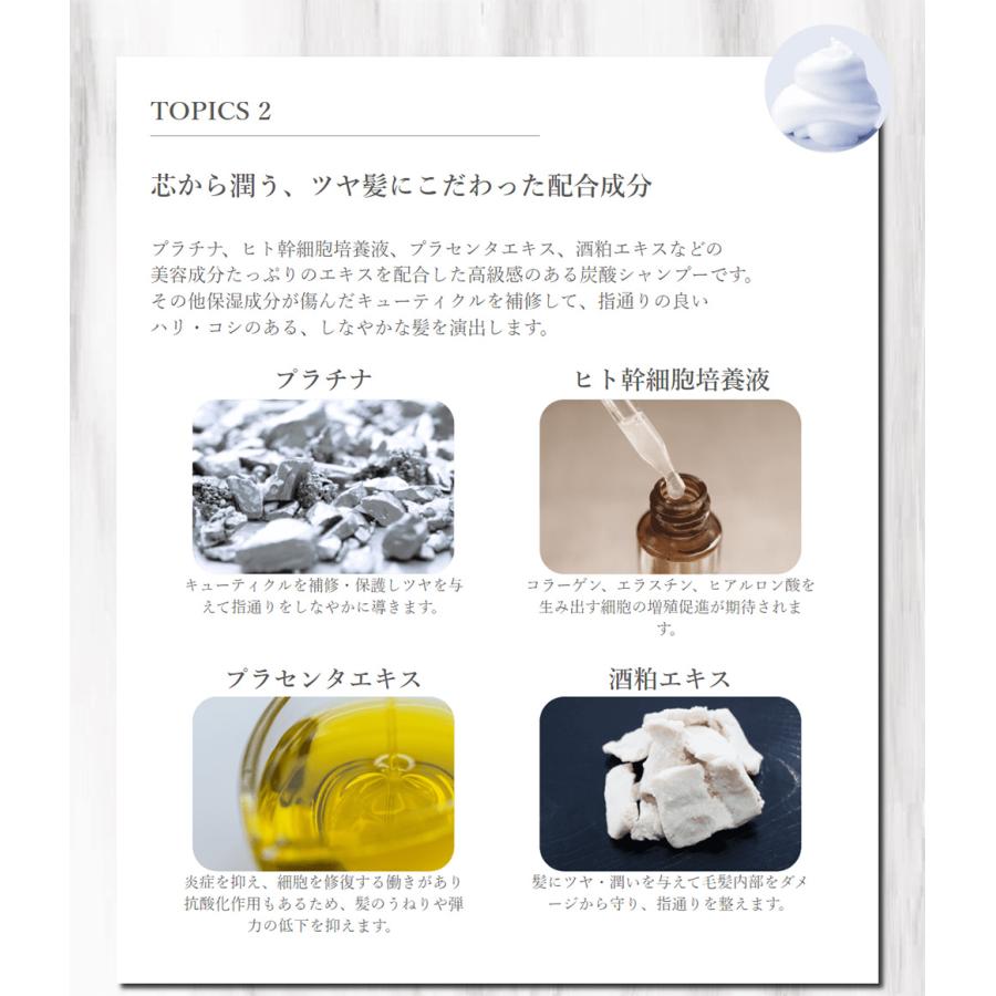 炭酸泡 シャンプー リックス プラチナム ソーダシャンプー 200g 髪色キープ アミノ酸系 シャンプー 泡で出る ヘアカラー 後 サロン 美容院 美容師 送料無料 RicS | ブランド登録なし | 03