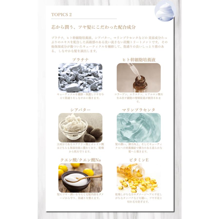 炭酸泡 シャンプー リックス プラチナム ソーダシャンプー 200g 髪色キープ アミノ酸系 シャンプー 泡で出る ヘアカラー 後 サロン 美容院 美容師 送料無料 RicS | ブランド登録なし | 06