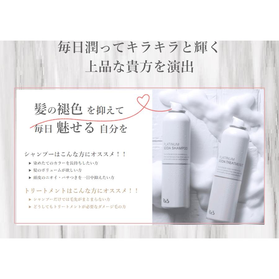 リックス プラチナム シャンプー＆トリートメント セット / 200g+200g