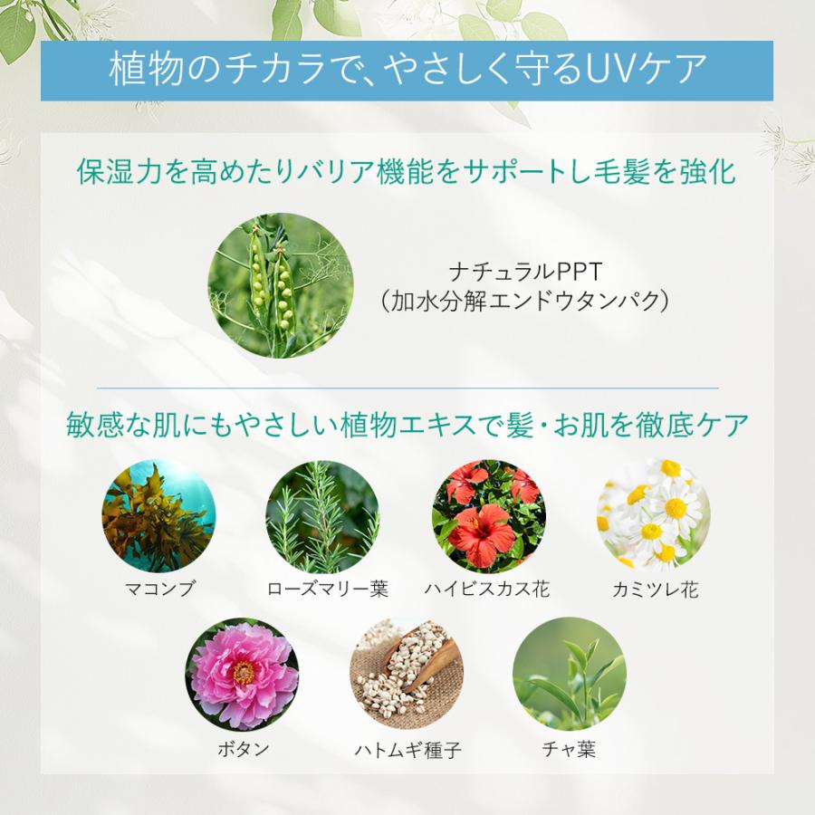 選べる 3本セット umi umi ウミウミ サンライト UVスプレー 80g×3 ブーケ/夏みかん/無香料 ソフプロフェッショナル UVカット 髪 肌 紫外線 サロン専売品 soeff |  | 06