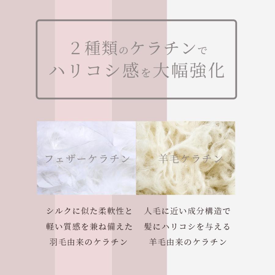 ソルブ アヴィシレス シャンポワ / 500mL | ブランド登録なし | 02