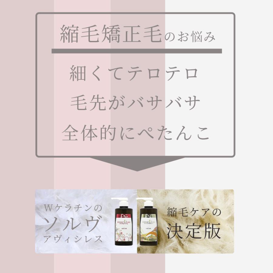 ソルブ アヴィシレス トレッモ / 500mL | ブランド登録なし | 01