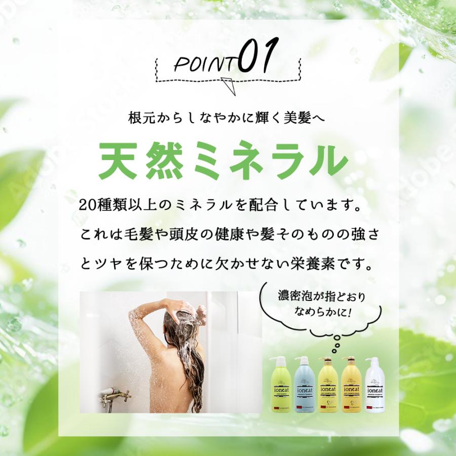 バン インターナショナル イオニート エッセンスVシャンプー モイスト 1000mL アミノ酸 シャンプー 無添加 低刺激 ノンシリコン シャンプー サロン専売品 | ioneat | 04