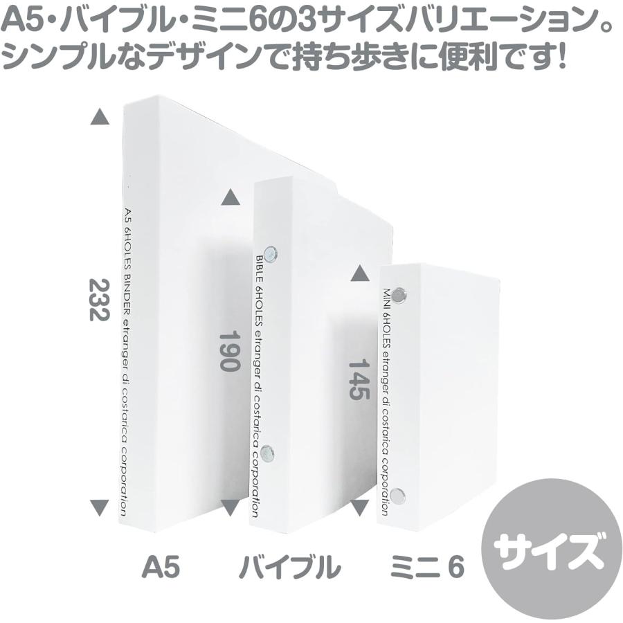 エトランジェ・ディ・コスタリカ 【4点まとめ】バインダー バイブル 6