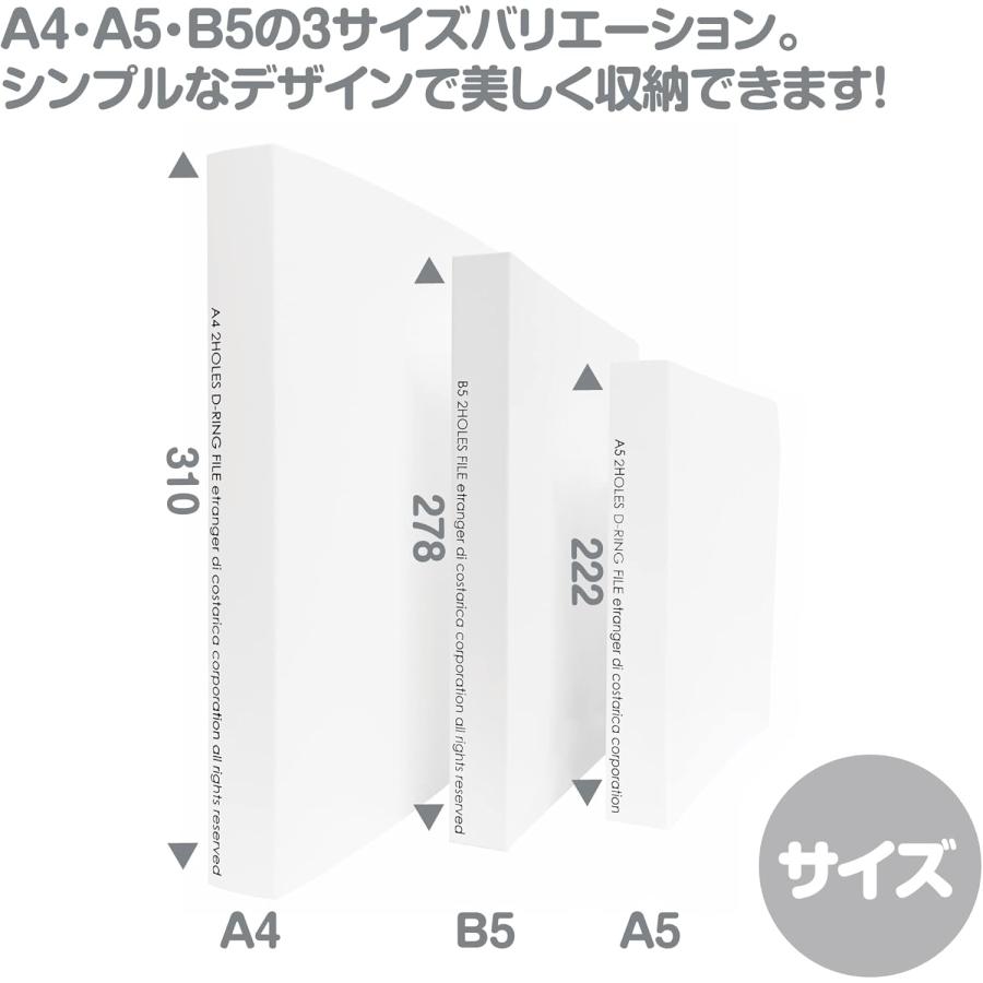 エトランジェ・ディ・コスタリカ リングファイル B5 2穴 10mm厚 透明PP