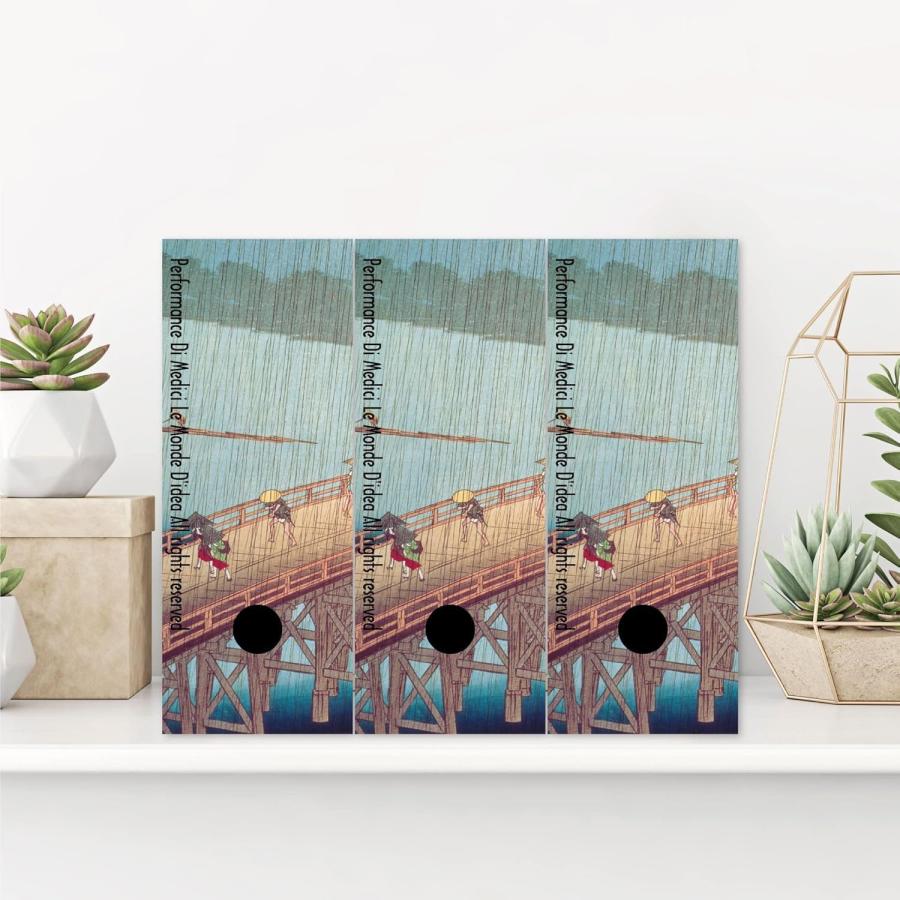 エトランジェ・ディ・コスタリカ 【10点まとめ】ファイル