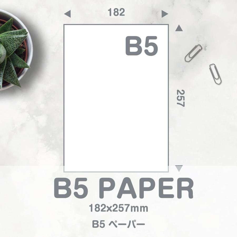 フリーペーパーその他 エトランジェ・ディ・コスタリカ フリー ペーパー BASIS B5 ホワイト