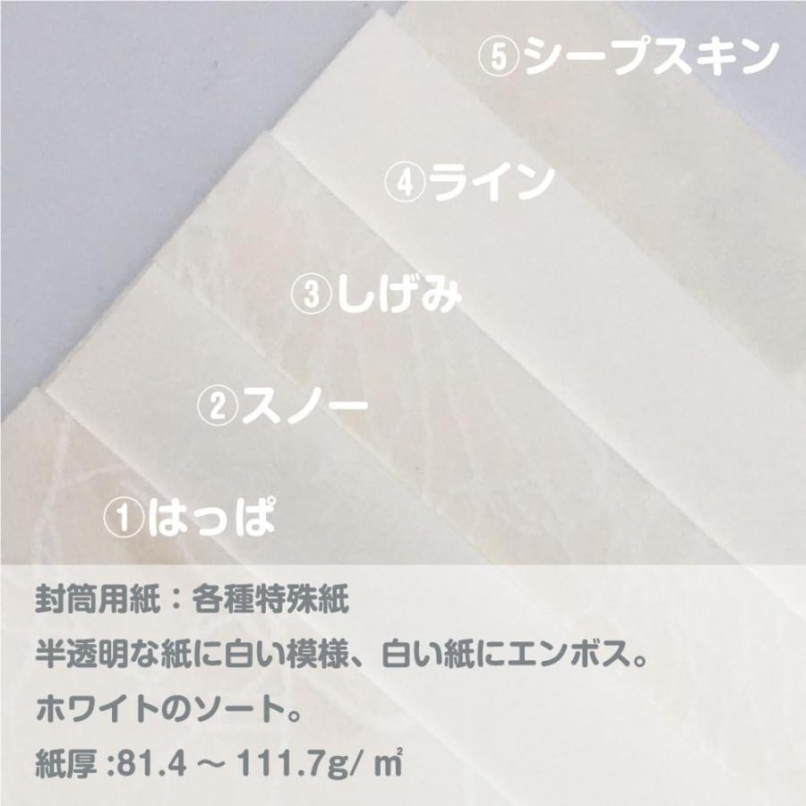 エトランジェ・ディ・コスタリカ A5レターセット LT6-F-06 ホワイト