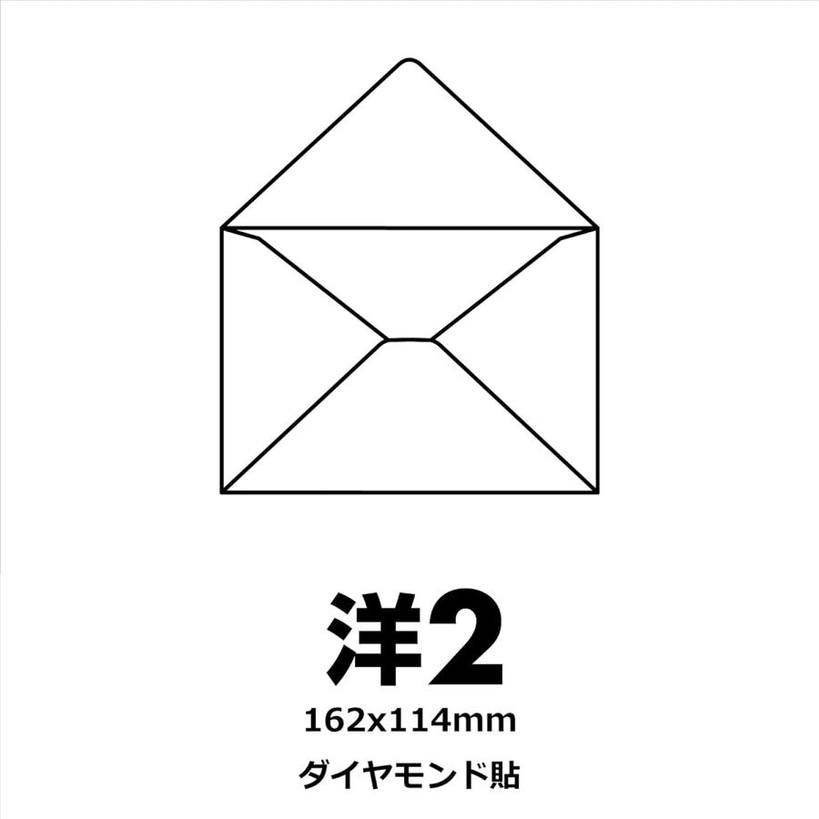 エトランジェ・ディ・コスタリカ 洋2封筒 コスモス ENY2-P-09 : ネット