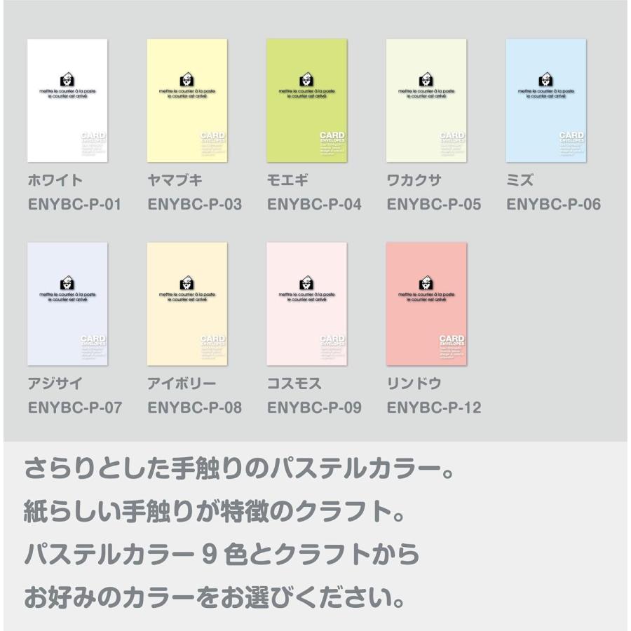 エトランジェ・ディ・コスタリカ カード封筒 ミズ 20枚入り ENYBC-P-06