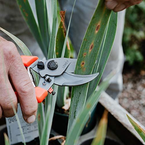 LOWE ライオン 剪定鋏 強力型 9104 LOWE ライオン