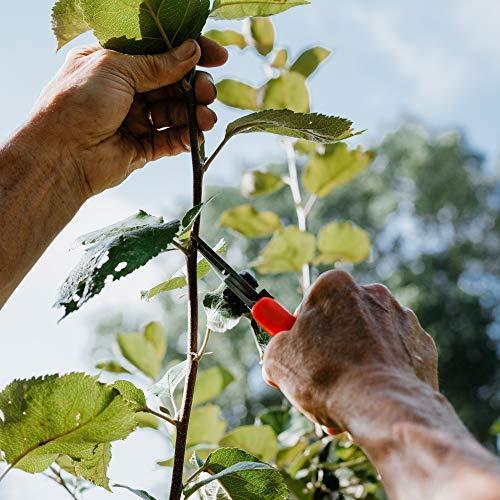LOWE ライオン 剪定鋏 強力型 9104 LOWE ライオン