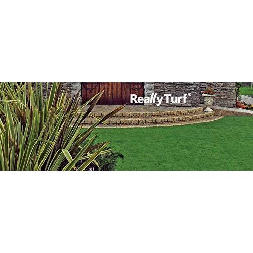 【早い者勝ち】 人工芝 リアリーターフ（パイル25mm）1m×10m 【WSO1018837780】(36530円)
