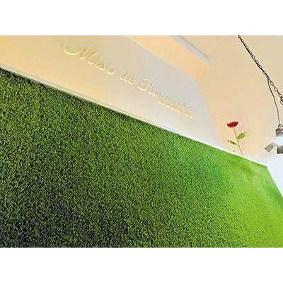 【早い者勝ち】 人工芝 リアリーターフ（パイル25mm）1m×10m 【WSO1018837780】(36530円)