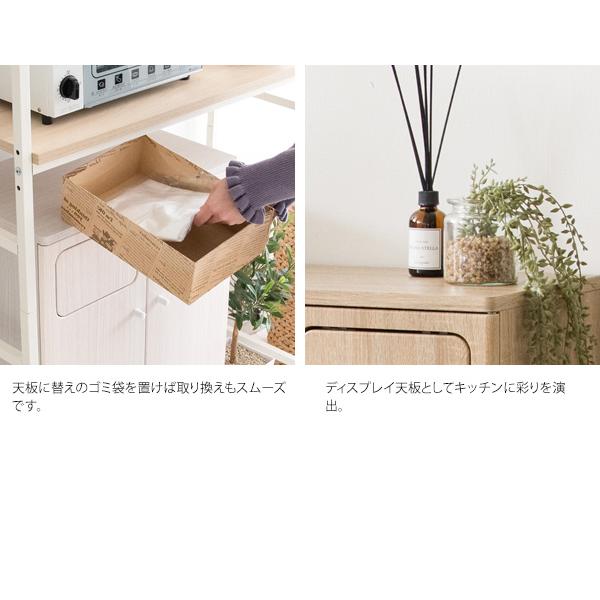 宮武製作所 ダストボックス 2分別 カウンター おしゃれ ごみ箱 分別 幅