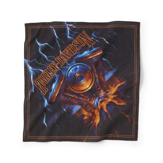 はる Harley Davidson（ハーレー・ダビッドソン） Evo Lightning