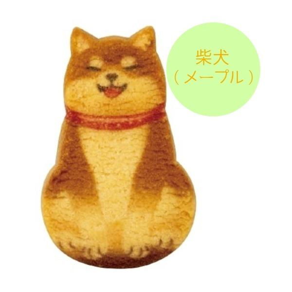 犬 お菓子 わんわん犬さんくっきー クッキー ( 10枚入 ) メープル バタークッキー Cookie inu いぬ イヌ ドッグ チワワ プードル 柴犬 フレンチブルドッグ｜netshop-sakurado｜06