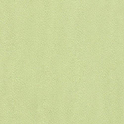 リリカラ 壁紙43ｍ シンフ?ル 無地 グリーン MORRIS & Co. -Licensed Collection- LW-2577
