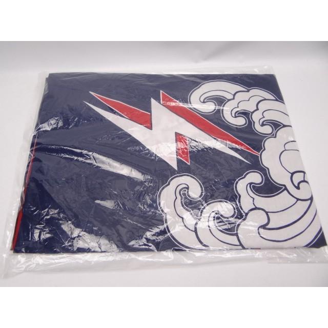 サザンオールスターズ 45周年茅ヶ崎ライブ 法被 Lサイズ