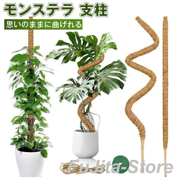 モンステラ 支柱 ココスティック 観葉植物 2本入り支柱 園芸支柱 植物