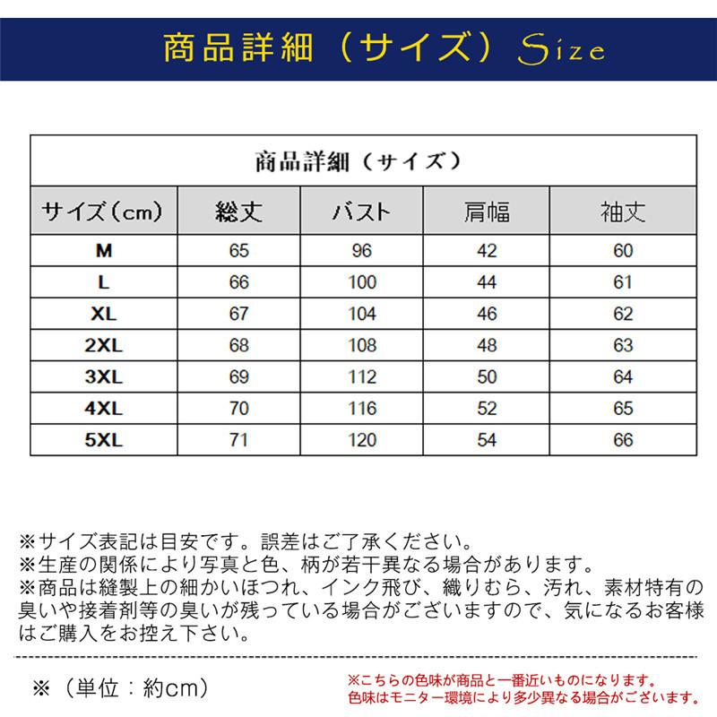 一部即日発送 ポロシャツ メンズ シャツ 春服 長袖 Tシャツ 開襟 トップス 英文字 ゴルフウェア カジュアル 通勤 おしゃれ ゆったり フォマール｜netshopkai｜08