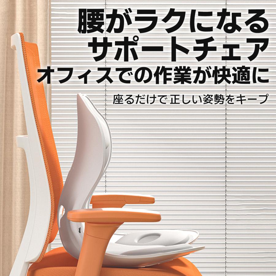 姿勢サポートチェア 姿勢矯正 椅子 骨盤サポートチェア サポートチェア