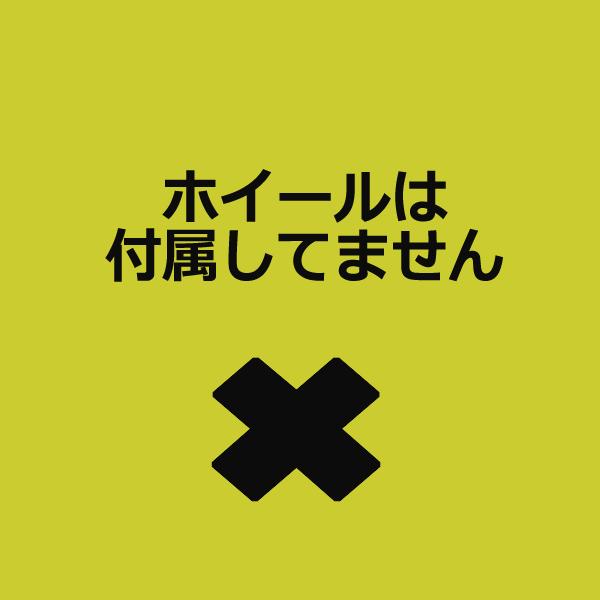 ダライ・ラマの秘密寺院：チベットの密教壁画　（洋書・英語版） ダライ・ラマの秘密寺院：チベットの密教壁画 （洋書・英語版