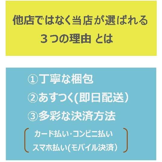 マギープランmagie plan ジェルクリーム セルライト 業務用 100ml