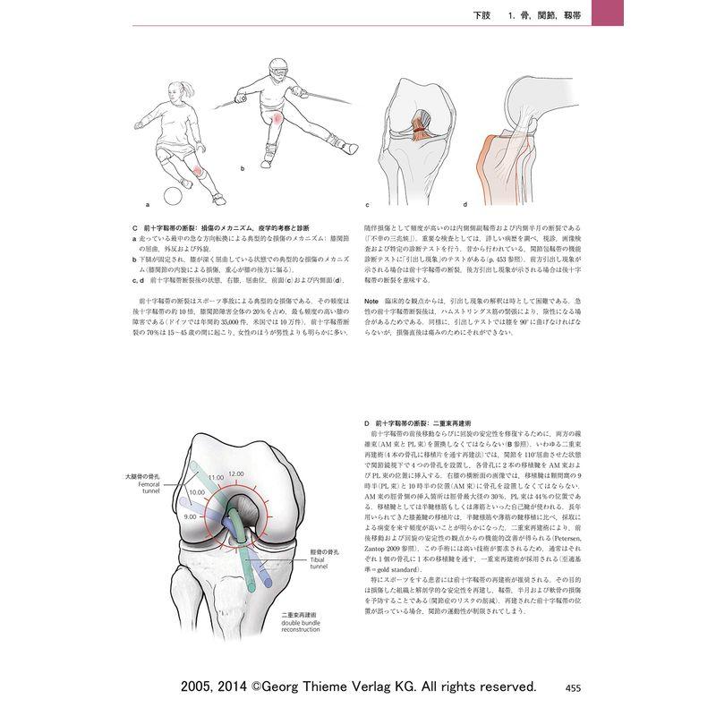 プロメテウス解剖学アトラス 解剖学総論/運動器系 第3版 解剖学総論/運動器系 第3版