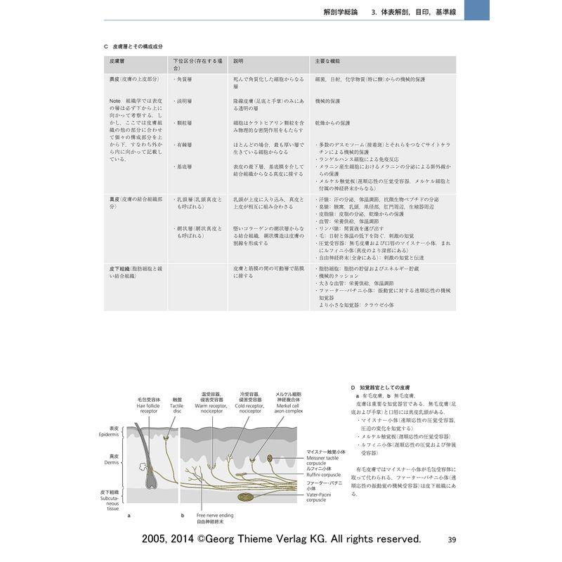 プロメテウス解剖学アトラス 解剖学総論/運動器系 第3版 解剖学総論/運動器系 第3版