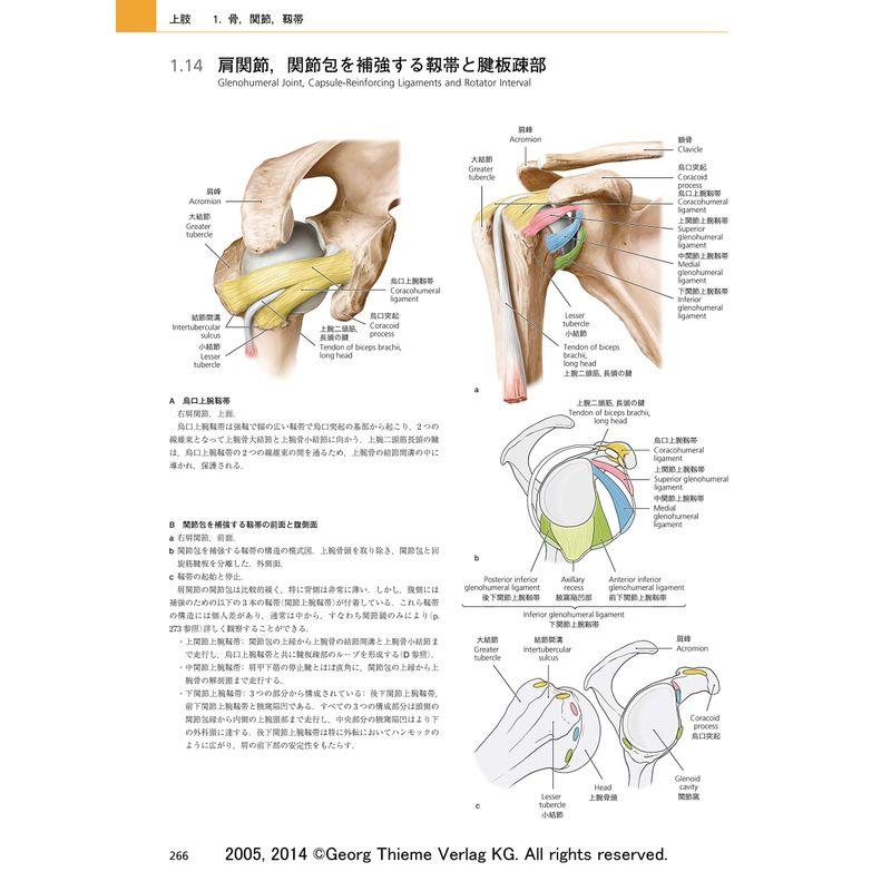 プロメテウス解剖学アトラス 解剖学総論/運動器系 第3版 解剖学総論/運動器系 第3版