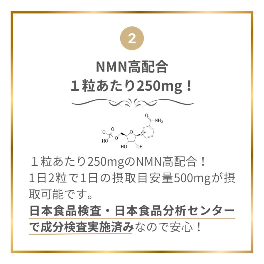 e-LIFE-LAB NMN15000 with レスベラトロール 初回限定おすすめパック 