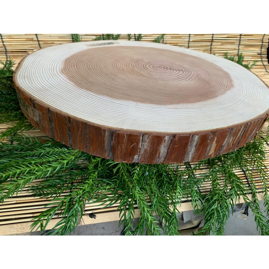 【限定品】丹波産 杉 直径 約36〜39cm 厚さ約4cm 1枚 | ブランド登録なし | 08
