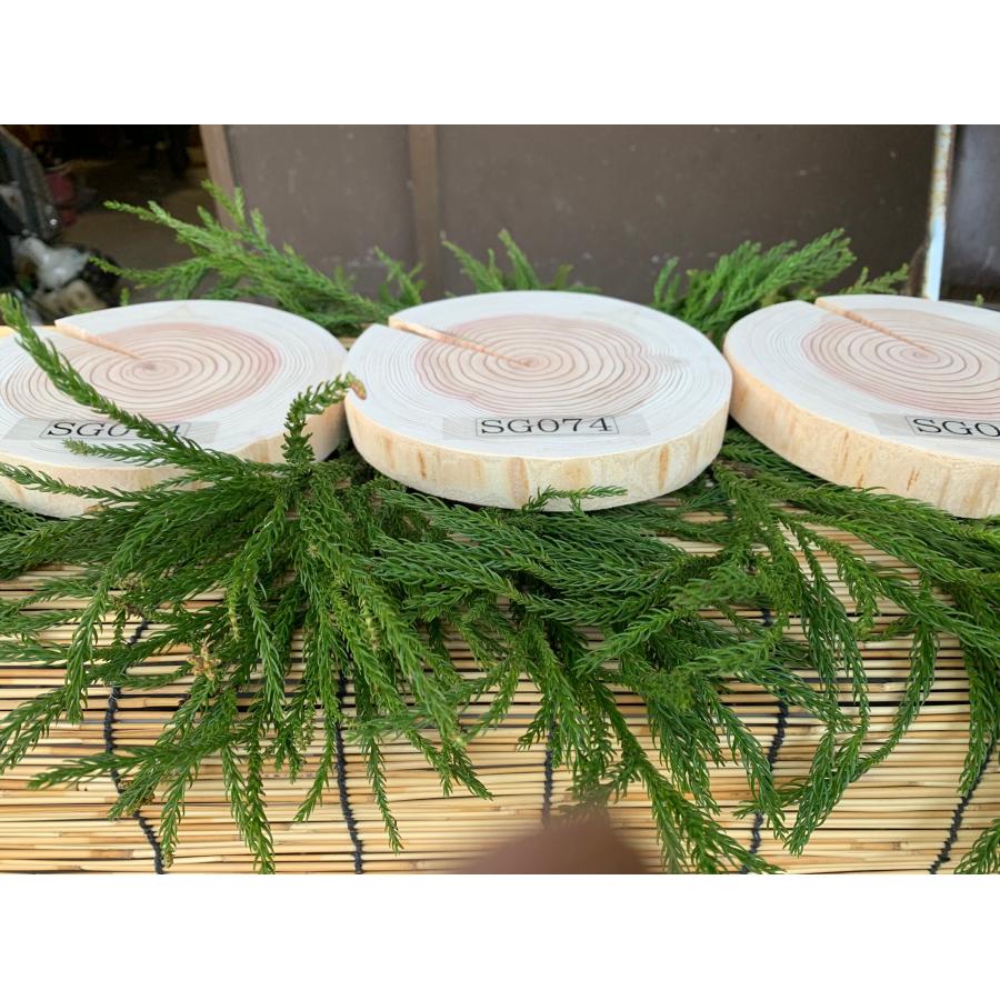 【限定品】丹波杉 直径約17〜18cm 厚さ約2.5cm 皮剥ぎ 3枚セット | ブランド登録なし | 06