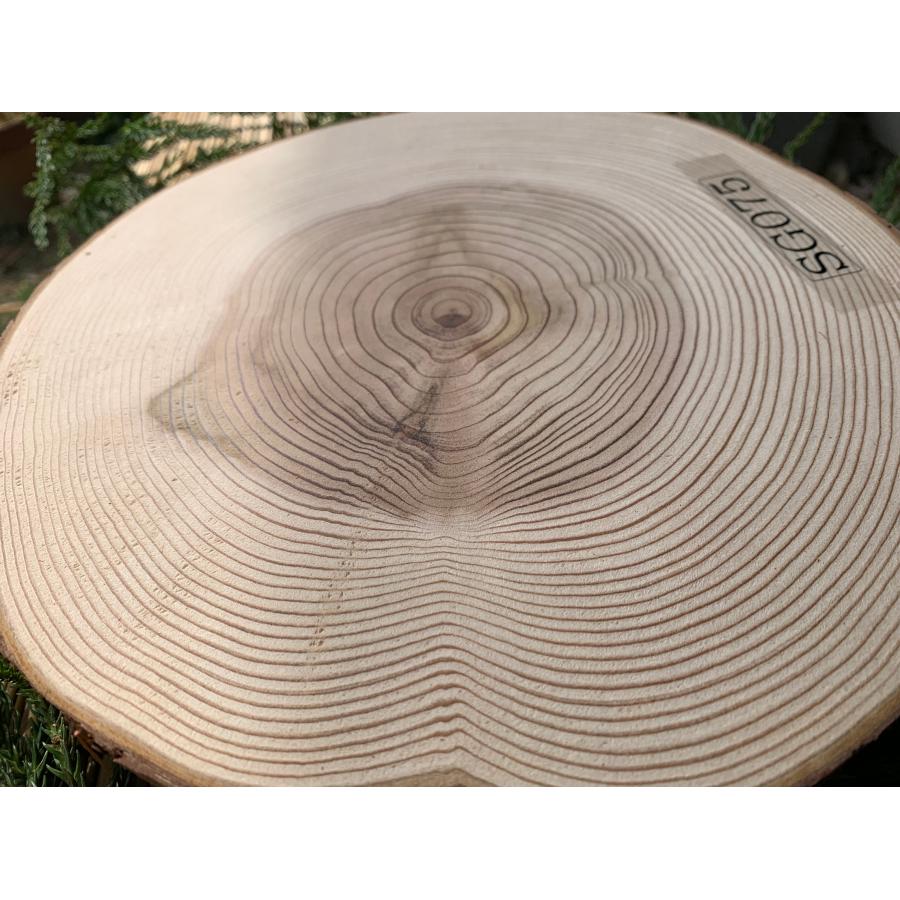 【限定品】丹波産 杉 直径約24cm 厚さ約4cm 1枚 | ブランド登録なし | 03