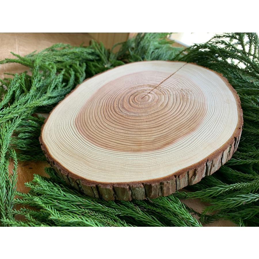 皮付き 丹波産 杉 輪切り 直径20〜25cm 厚さ2cm 1枚 日本初の