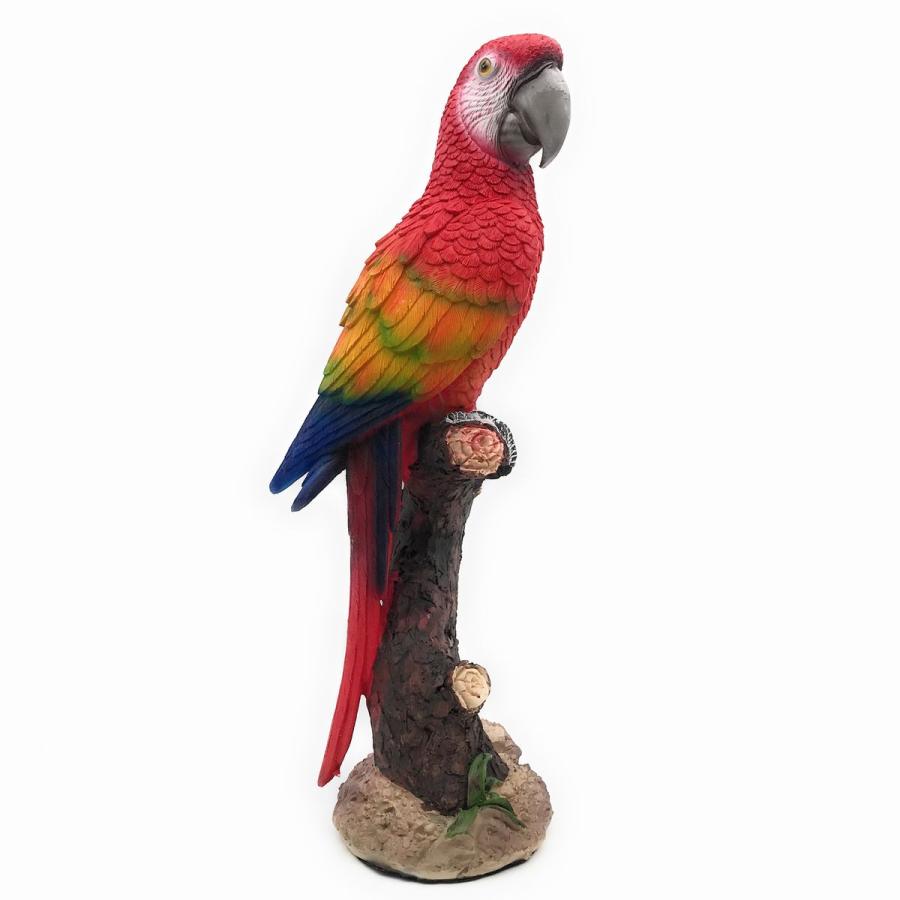 置物 木に止まる鳥 リアルな毛並み (オウム×レッド) : ノイ 置物 木に止まる鳥 リアルな毛並み (オウム×レッド) : ノイ